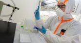 Proyecto internacional estudiará fósiles chilenos para comprender la evolución del tiburón blanco