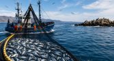 Gremios pesqueros advierten que ampliación de parques marinos podría afectar empleos y una actividad pesquera histórica en Chile