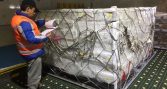 Comenzaron las exportaciones de salmón chileno a Nicaragua