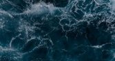 Policy brief propone reforzar monitoreo y adaptación de pesca y acuicultura ante acidificación oceánica