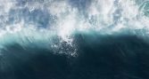 CINCO Chile y COPAS Coastal abrirán en Puerto Montt debate sobre remoción de carbono marino