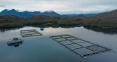 Salmones Camanchaca recibe certificación por avances en cambio climático y economía circular