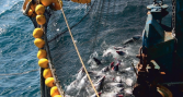 Garware participará en Nor-Fishing 2026
