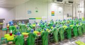 Crustasur reduce en 60% su consumo energético con sistema de bombas de calor