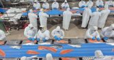 Chile avanza en la reanudación de exportaciones de productos del mar a Rusia