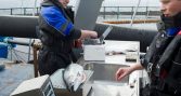 Estudio explora uso de urea en alimento para salmones y reporta menor mortalidad tras tratamientos contra piojo de mar