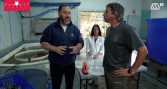 Agua Viva aborda cultivo de ostra japonesa y diversificación de la pesca artesanal
