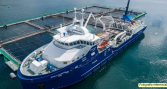 Biofouling de wellboats abre una nueva alerta para la bioseguridad frente al ISAV