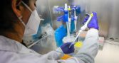 Nueva herramienta busca dar mayor certeza al diagnóstico molecular de IPNV