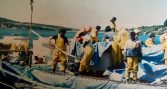 Raíces del Mar reunirá 50 años de historias de la acuicultura chilena