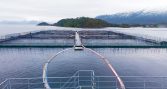 SMA aprueba planes por incumplimientos ambientales en seis centros de salmones