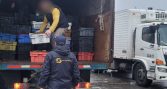 Pasó agosto: finaliza veda de la merluza austral