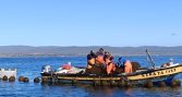Subpesca identifica brechas para fortalecer el co-manejo de pesquerías bentónicas