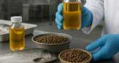 ¿Podría el calentamiento del océano reducir el omega-3 disponible para la acuicultura?
