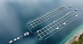 OXZO evoluciona junto a la industria: una propuesta más flexible para los desafíos de la acuicultura