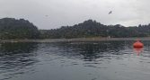 Caleta Bay denuncia sabotaje en centro San Antonio de Calbuco y prepara querella