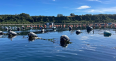 INCAR presentará seis estudios sobre pesca y acuicultura en encuentro NENRE