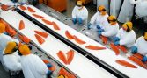 SalmonChile presentará nueva radiografía del aporte económico de la salmonicultura