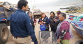 UCN impulsa cultivo de ostiones y ostras como alternativa para pescadores y buzos de Antofagasta