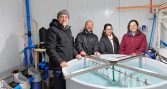 ULagos estudia cultivo de cochayuyo en ambientes de alta energía