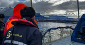 FAN en Magallanes: mortalidad de salmones aumenta a 642,5 toneladas en centros de Multi X